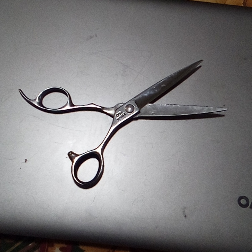 Hattori Hanzo Shears